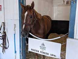 2019 06 10 Master Fencer Finishes Fifth In The Belmont