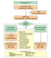 Cardiac arrest strikes immediately and without warning. 25 Algorithm For Management Of Pediatric Cardiac Arrest Download Scientific Diagram