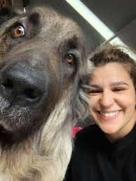 arch manning looks like 🐕💩