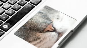 Cara melepas stiker dari laptop. 10 Stiker Keyboard Laptop Yang Bikin Kamu Betah Ngetik Terus Lifestyle Fimela Com