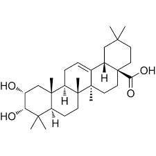 Image result for Platostoma africanum
