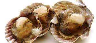 Lavate quindi bene i canestrelli, sotto l'acqua corrente molto fredda. Come Cucinare Canestrelli O Pettini Di Mare Cucinarepesce Com