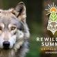 The Rewilding Summit — Micah Mortali event image