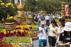 Their traditions, rituals, history, family why is it called lunar new year? Tet The Vietnamese New Year Cultural Features Famous Cultural Features In Tet The Vietnamese New Year Vietnam Insight Guides