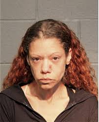 ᐅ Illinois Criminal Records 2009-2025