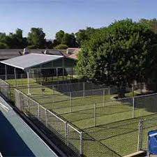 Maybe you would like to learn more about one of these? Photo Gallery Country Kennels And Dog Waterpark Murrieta Ca