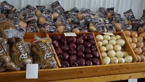 Sunfresh Produce, Tennessee Homegrown Tomatoes are Longmires' labor of love 