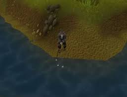 It is recommended to train agility gradually and that you don't try to get 99 agility from scratch. Osrs Fishing Guide In 2021 1 99 Fastest Profitable