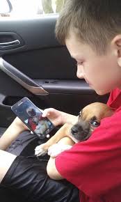 Today marks one week since we said goodbye to our dear Brutus, a day that  will forever be etched in my memory, much like the day i buried my last  son. The