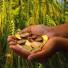 In 2021, saturn and jupiter will spend most of their time in aquarius, and considering that aquarius is one of your best friends, that's a good sign. 5 Luckiest Zodiac Signs In Finances Who Have Great Financial Stability Pinkvilla