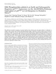 Tharminder singh logan sabapathy & co. Https Www Molbiolcell Org Doi Pdf 10 1091 Mbc E05 04 0301