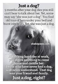 Pin On Love For Pets