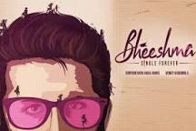 Image result for Bheeshma