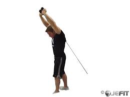 The rope extension is an exercise using the cable with a rope attachment used to target the triceps. Cable Rope Overhead Triceps Extension Exercise Database Jefit Best Android And Iphone Workout Fitness Exercise And Bodybuilding App Best Workout Tracking Software