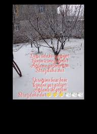 Kader Adli Kullanicinin Siir Panosundaki Pin Siir Bira