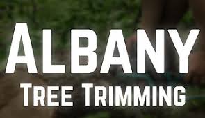 'albany tree trimming came out and trimmed 3 trees. A Good Time For Trimming In Alabany Ga Albany Tree Trimming