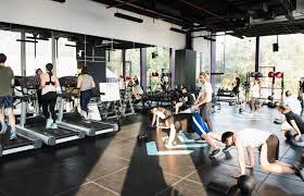 We did not find results for: Pictures Of People Exercising Lovetoknow