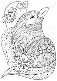 It is nearly 2 feet (0.5 m) in length. Exotic Bird In Flowers Hand Drawn Ethnic Animal For Adult Coloring Royalty Free Cliparts Vectors And Stock Illustration Image 64924797