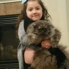 Our memphis springhill suites is conveniently located next to wolfchase galleria in memphis, tn. Veterinarians In Lakeland Yelp