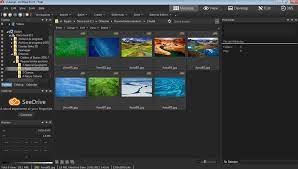 Acdsee photo studio ultimate deutsch: Acdsee Pro 2019 Download Fur Pc Kostenlos