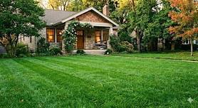 Think Green Thursday: Lawns
