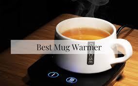 You'll find an extensive range of cordless power tools from big brands here Best Mug Warmer In 2021 Top Rated Reviews Chef S Resource