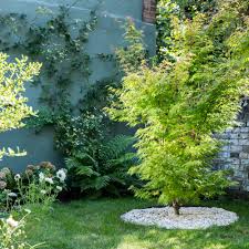 Landscaping on a budget does not mean settling for a shabby yard. Budget Garden Ideas 31 Cheap Diy Garden Design Tips For Instant Impact