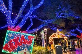 Why You Should Visit Zoo Lights At The Houston Zoo