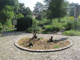 Zahrada vznikla v roce 1866 a je druhou nejstarší v české republice. Botanicka Zahrada Tabor About Garden Com