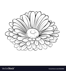 Black And White Flower Outline Tattoo Black And White Daisy Flower Isolated Vector Image On Vectorstock Flower Drawing Aster Flower Tattoos Poppy Flower Drawing