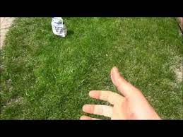 Pin On Lawn And Yard Care Lv