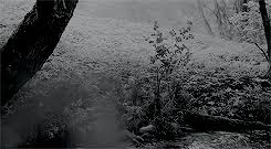 Aesthetic gif thunderstorm nature sky. Nature Aesthetic Gif