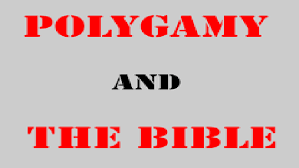 Image result for polygamy