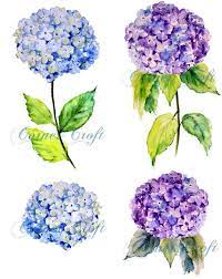 Hand Painted Watercolour Blue Hydrangea Digital Clipart Etsy Watercolor Flowers Paintings Flower Painting Hydrangeas Art