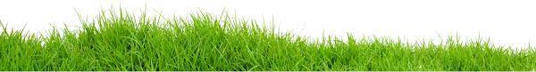 Grass Png File Grass Background Grass Grass Textures