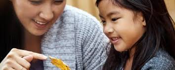 Cognitive Development