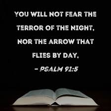 Psalm 91:5 You will not fear the terror of the night, nor the arrow that  flies by day,