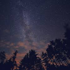 3840x2160 night road and starry sky 4k ultra hd wallpaper. Night Sky Stars Milkyway Wood Nature Blue Ipad Air Wallpapers Free Download