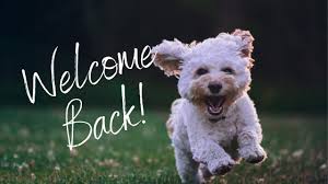 8 july 2021 next review due: West Side Pet Clinic Home Facebook