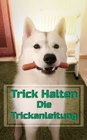 Trickdog So Lernt Dein Hund Den Trick Halten Hundetricks Tricks Fur Hunde Welpen Erziehen