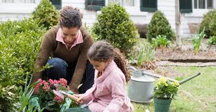 An herb garden or daffodils?. How Gardening At Home Helps The Environment