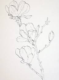 Grass or any kind of ground cover is part of any landscape and drawing them in pen and ink is very easy as i will show below. Drawing Pink Magnolia Flowers Pen And Ink Plus Watercolor Wash Pen And Ink Techniques