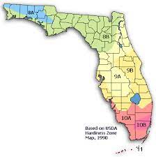 Florida Native Plant Society Florida Native Plants Florida Plants Florida Flowers