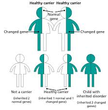 Consanguinity The Health Of Children With Parents Related By Blood Cambridgeshire And Peterborough Safeguarding Partnership Board