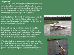 Hatchet Chapter 1 Brian Is A Fourteen Year Old Boy Who Is Traveling With His Mother To A Small Airport In New York He Is Going To Visit His Dad For The