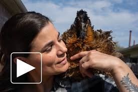 Sharon Steinmann, Opinion Video Journalist