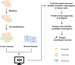 These markers tend to increase whenever cancer is present. Neoantigen Vaccine An Emerging Tumor Immunotherapy Molecular Cancer Full Text