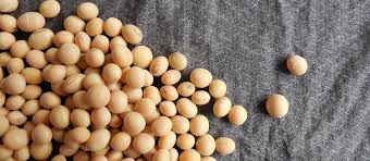 Den Cholesterin Wert Triglyceride Senken So Geht S