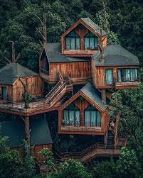 A Treehouse In Hangzhou China Pics Tree House Designs Beautiful Tree Houses Tree House