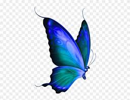 Pin amazing png images that you like. Blue Rose Cliparts Free Download Clip Art Free Clip Transparent Butterfly Free Transparent Png Clipart Images Download